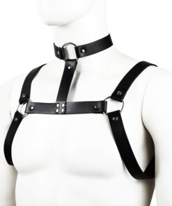 Arnés de Pecho con Collar Stud